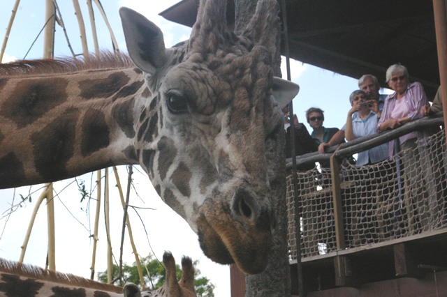 Expedition Gesundheit – DAK-Familientag im Zoo Leipzig