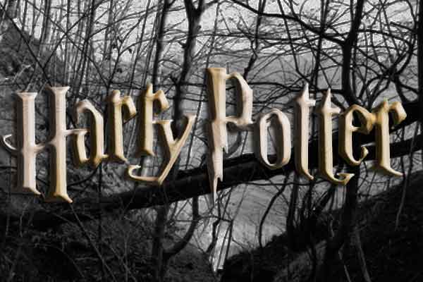 Harry Potter und die Heiligtümer des Todes - Zweiteiler nur Strategie