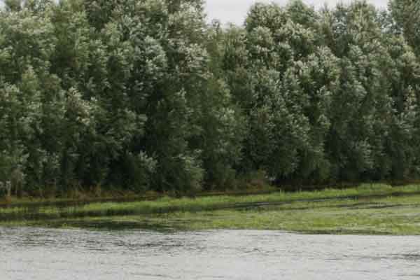 Hochwasser verlagert sich nach Brandenburg - Lage in Elterwerda kritisch