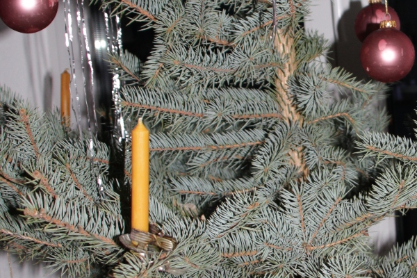 Minister Kupfer: Entsorgungsangebote der Gemeinden für Weihnachtsbäume nutzen