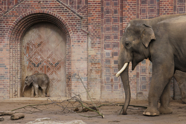 Vater und Sohn auf der Außenanlage des Leipziger Elefantentempels Ganesha Mandir
